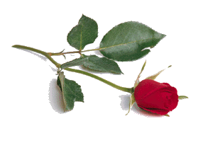 roses1.gif